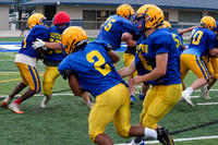 DSC01290